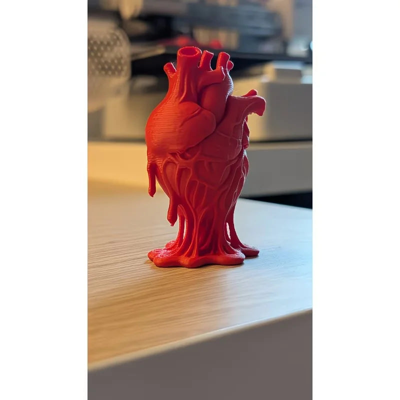 Detailed Heart Anatomy Model