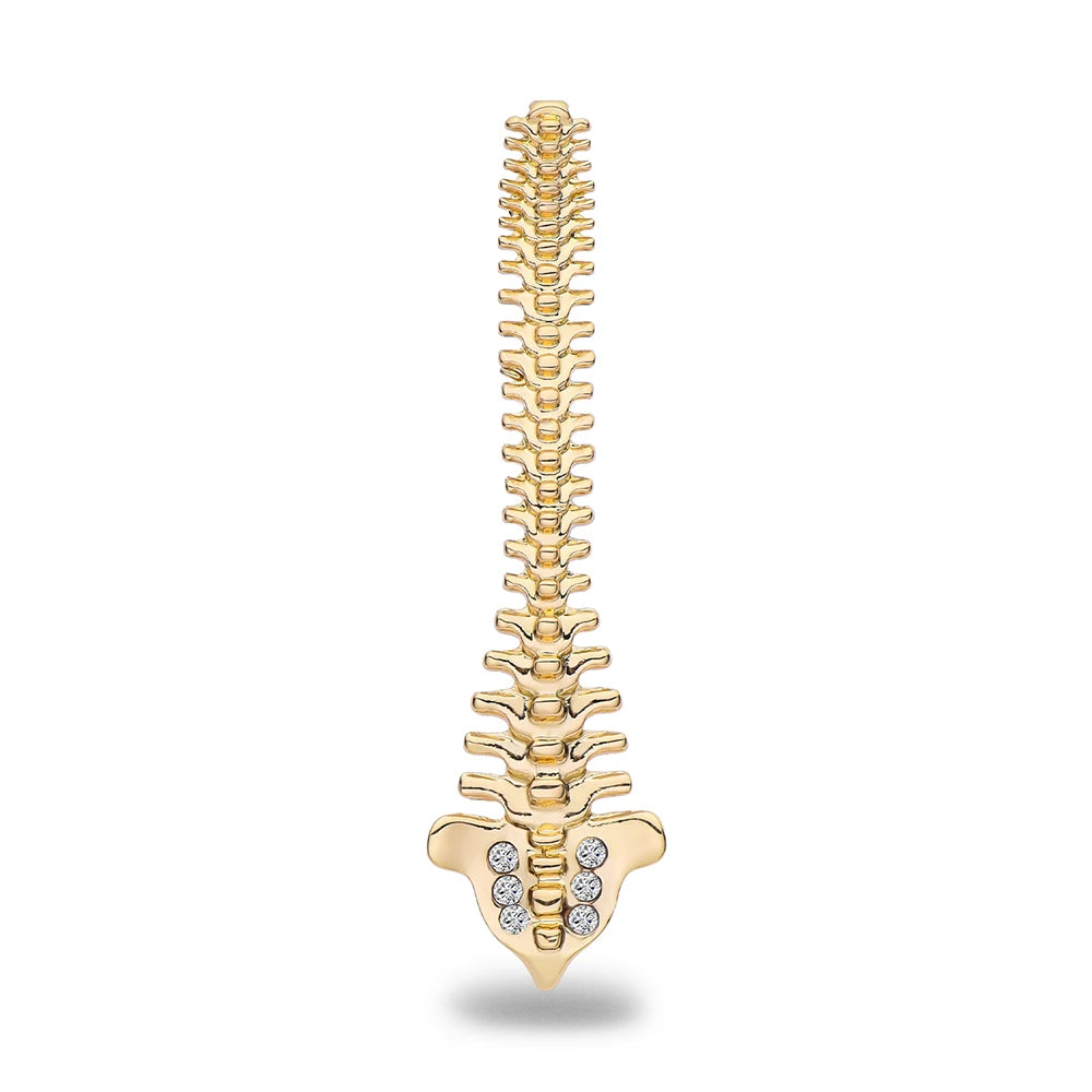 Gold Spine Anatomy Brooch Pin
