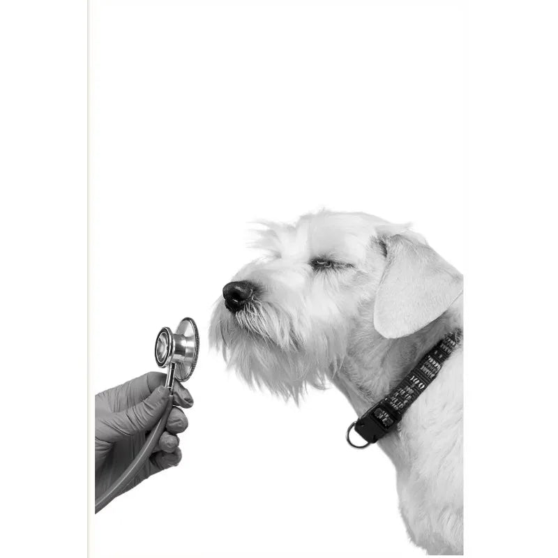 Vet Clinic Canvas Print — Pets with Stethoscopes