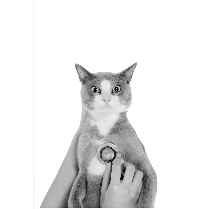 Vet Clinic Canvas Print — Pets with Stethoscopes