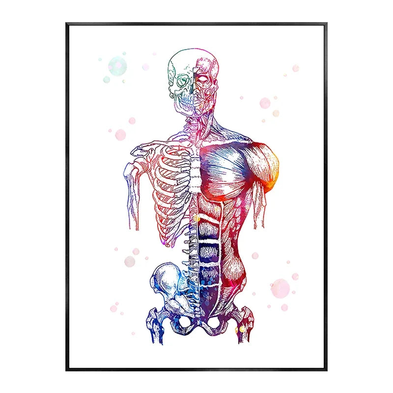 Skeleton Bones Anatomy Canvas Art