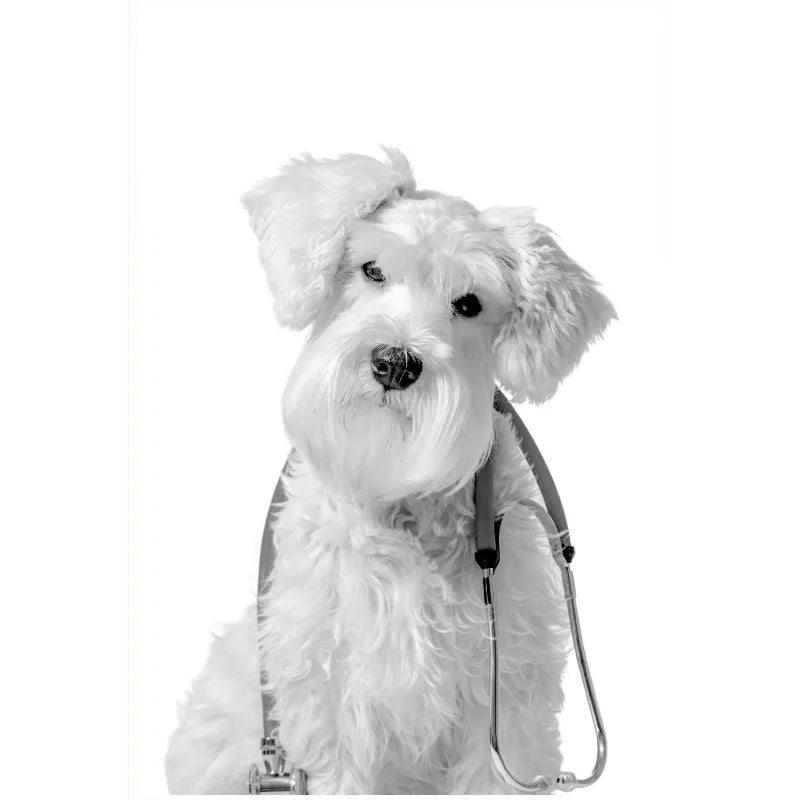 Vet Clinic Canvas Print — Pets with Stethoscopes