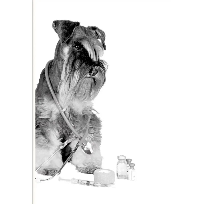 Vet Clinic Canvas Print — Pets with Stethoscopes