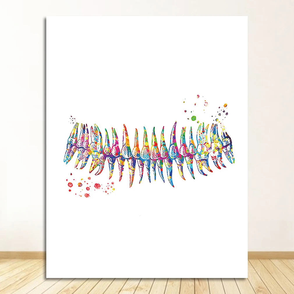Dental Anatomy Watercolour Canvas Print