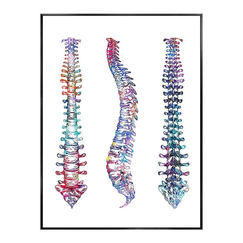 Skeleton Bones Anatomy Canvas Art