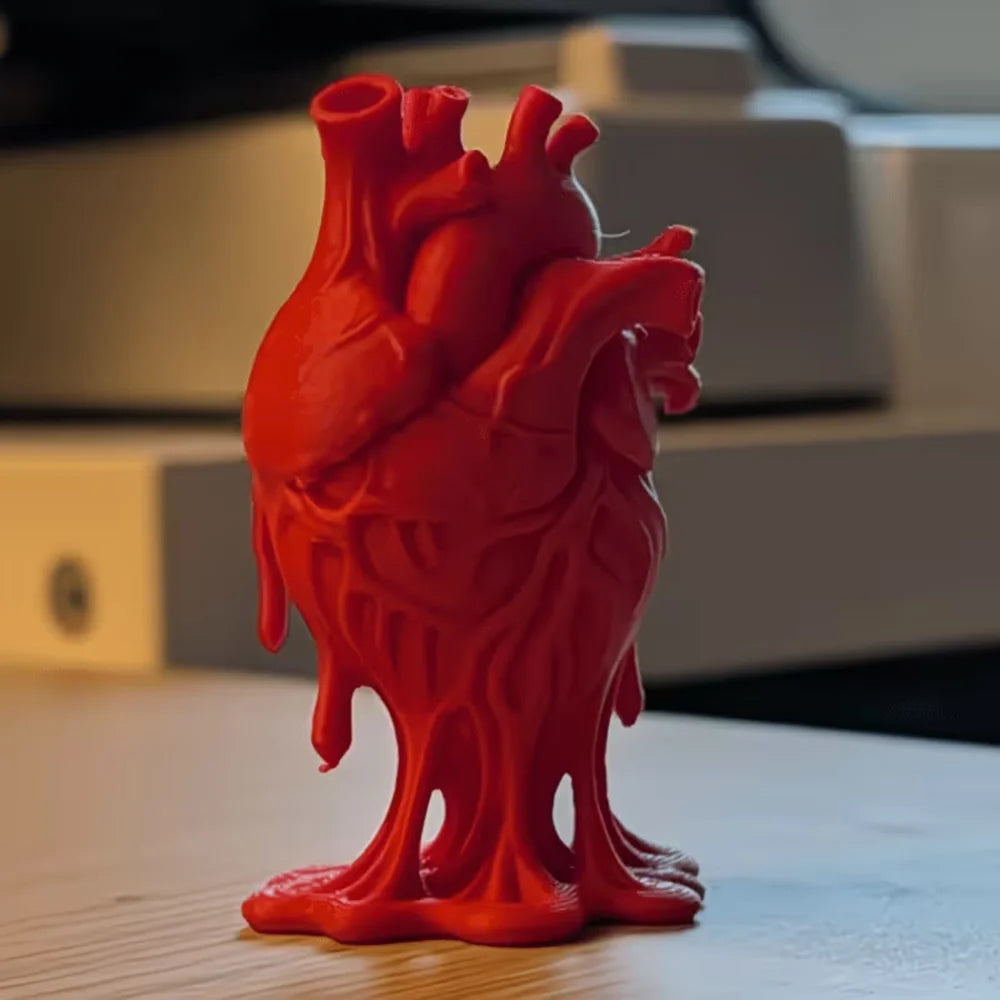 Detailed Heart Anatomy Model