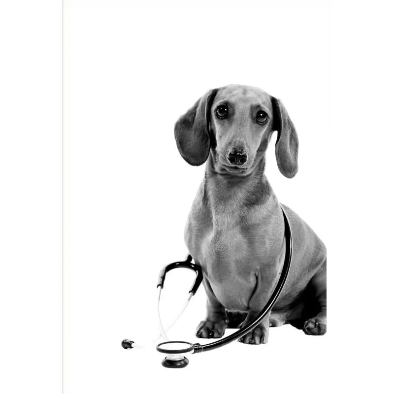 Vet Clinic Canvas Print — Pets with Stethoscopes