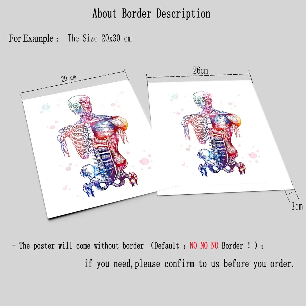 Skeleton Bones Anatomy Canvas Art