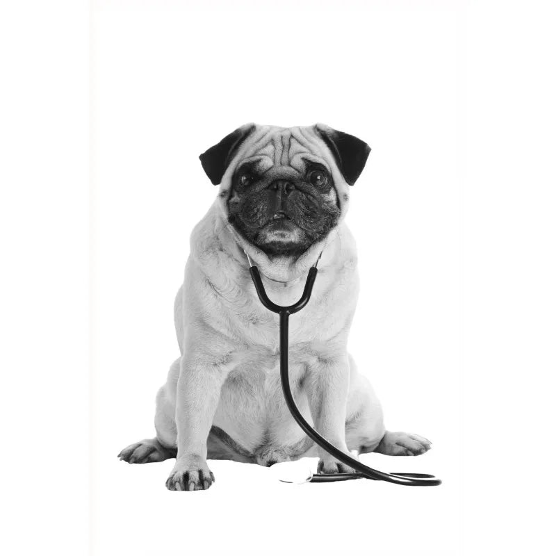 Vet Clinic Canvas Print — Pets with Stethoscopes