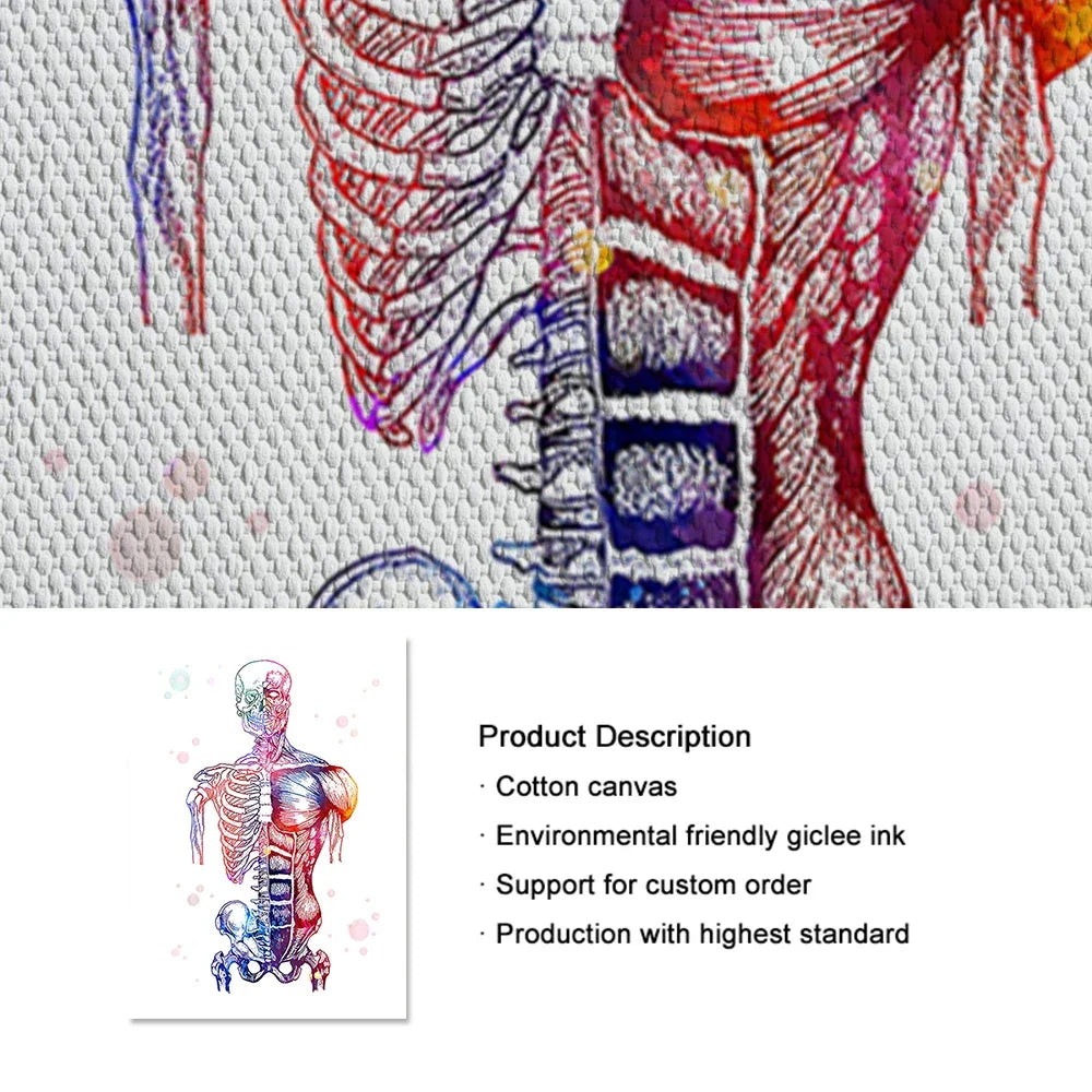 Skeleton Bones Anatomy Canvas Art