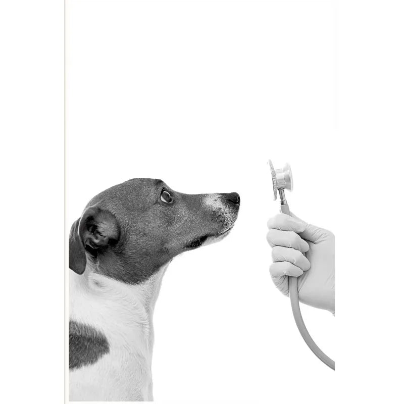 Vet Clinic Canvas Print — Pets with Stethoscopes