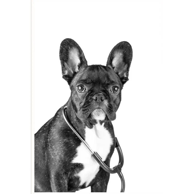 Vet Clinic Canvas Print — Pets with Stethoscopes