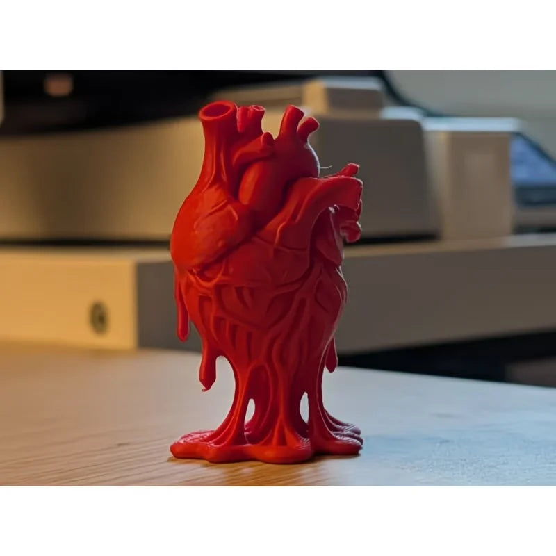 Detailed Heart Anatomy Model