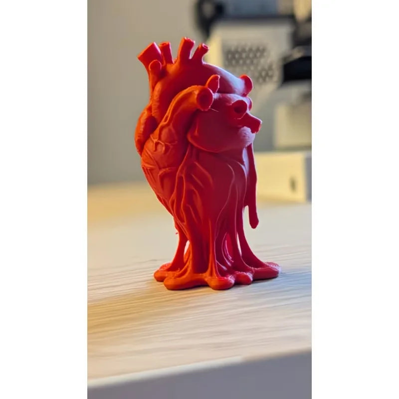 Detailed Heart Anatomy Model