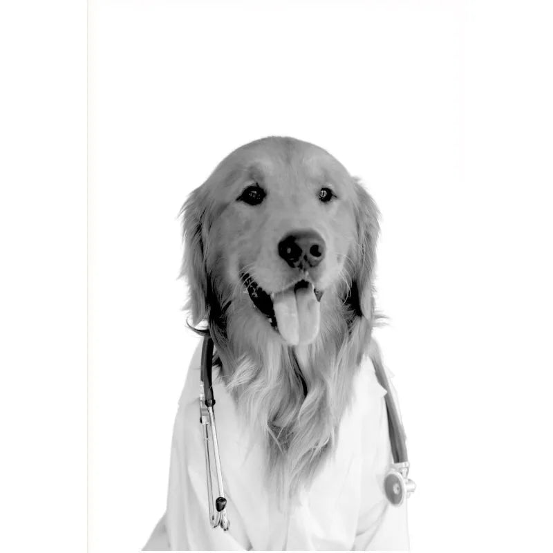 Vet Clinic Canvas Print — Pets with Stethoscopes