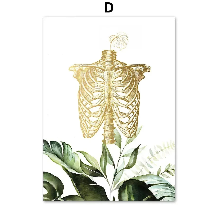 Teeth & Spine Anatomy Canvas Art