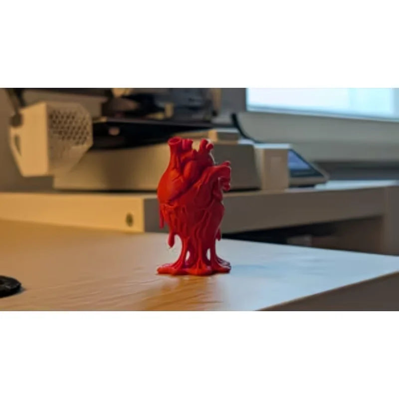 Detailed Heart Anatomy Model