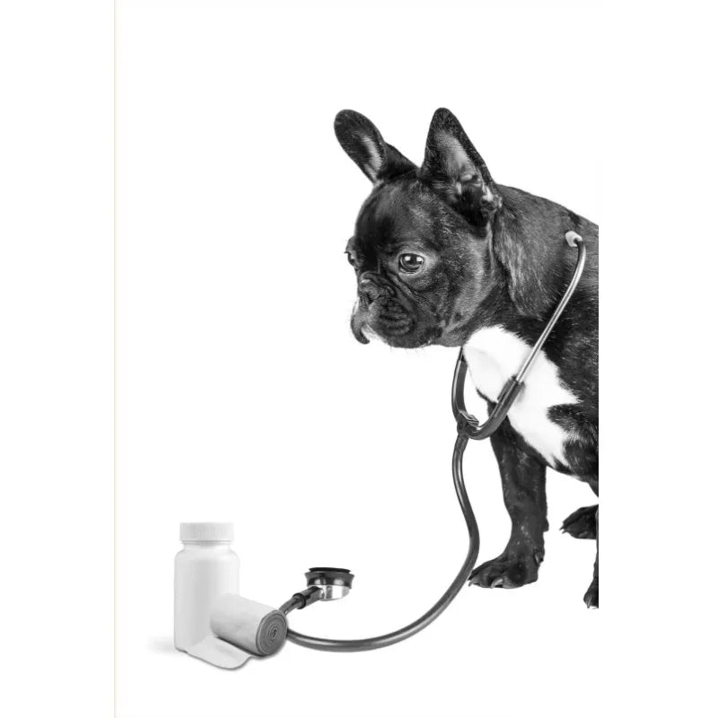 Vet Clinic Canvas Print — Pets with Stethoscopes