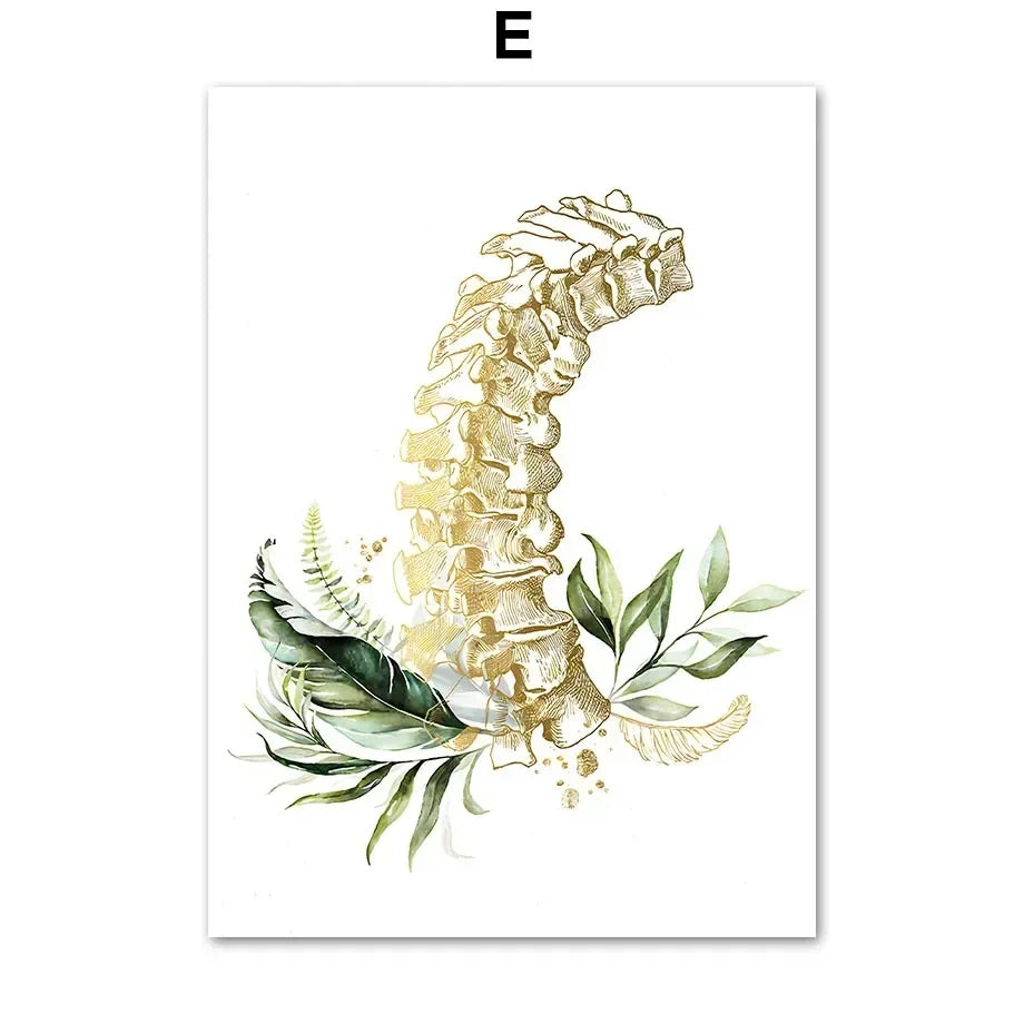 Teeth & Spine Anatomy Canvas Art