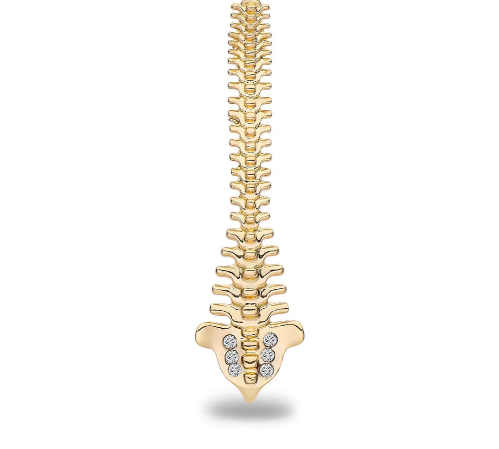 Gold Spine Anatomy Brooch Pin